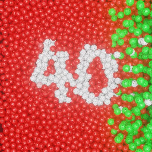 Confinement mars 2020